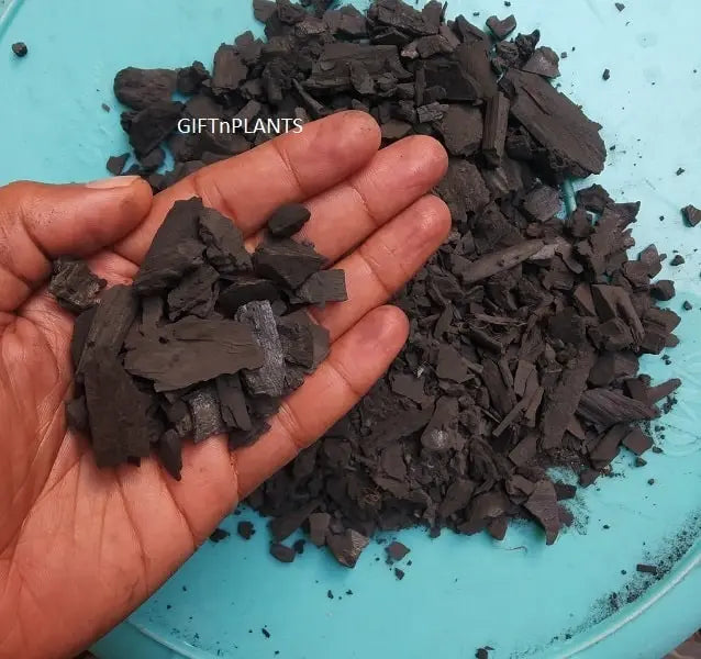 Wooden Charcoal (8-20 mm) for Plants, Garden Use and Soil Amendment