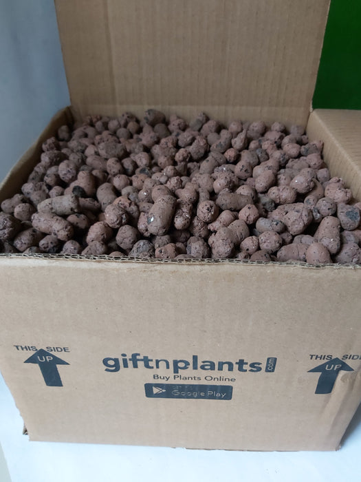 Giftnplants Clay Balls Leca Balls for Orchid
