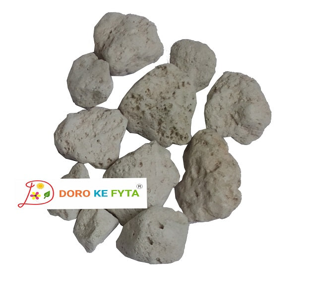 Pumice Stones (30-50 mm), Large Sized Natural Pumice Stones for Orchid, Horticulture & Aquarium