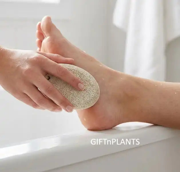 Natural Pumice Stone Scrubber for Pedicure, Removal of Dead Skin, Callus, Corn & Hairs