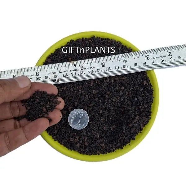 can i mix leca with potting soil Crushed Leca Balls (Smallest Size 1-4 mm) for Potting Mix of Small Pla — GIFTnPLANTS