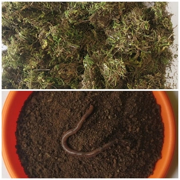 Sphagnum Moss (250 Gms) with Free Organic Vermicompost (450 Gms) for Garden Plants