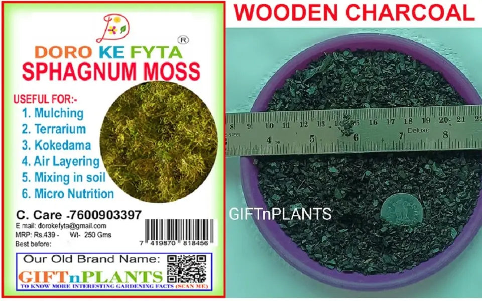 Combo of Sphagnum Moss (250 Gms) with Free Wooden Charcoal 2-8mm (450 Gms) for Gardening