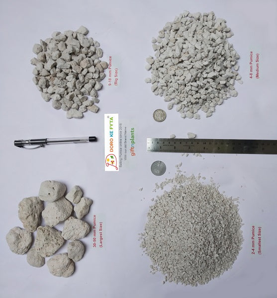 pumice stone potting mix Pumice Stones (4-8 mm), Medium Size for Garden / Horticulture (Soil Am — GIFTnPLANTS
