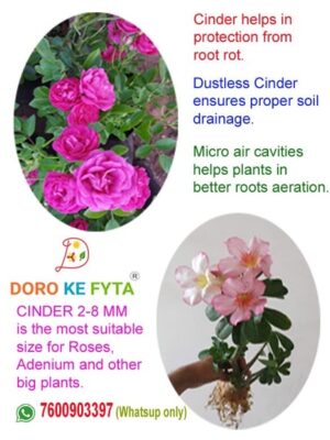 Cinder (2-8mm), Substrate for Soil Free Growing for Rose, Adenium and Other Big Sized Plants (Wt-1.8 Kg)