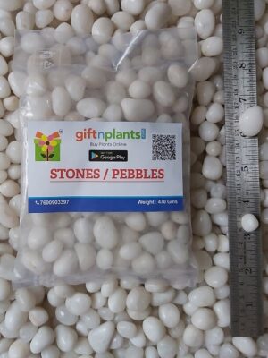 White Double Polished Stones or Pebbles Small Sized (07-14 mm)- 450 Grams for Garden Plants
