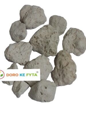 DORO KE FYTA Large Sized Natural Pumice Stones (1.5 LTR, Wt-450 GMS) for Orchid, Horticulture & Aquarium (Size: 30-50 MM)