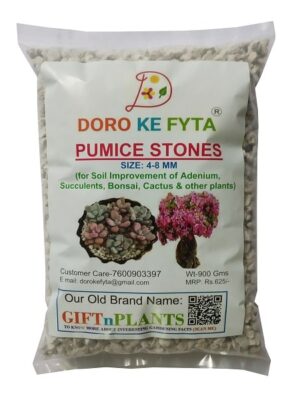 Pumice Stones (Size: 4-8 mm) Wt- 900 Gms for Garden/Horticulture (Soil Amendment) & Mulching