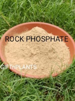 Rock Phosphate Organic Fertilizer (900 GMS) for Plants, Garden Use