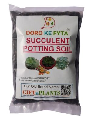 Succulent Potting Soil (Wt – 1.8 Kg) for Better Drainage, Roots Aeration and Protection from Roots’ Rot