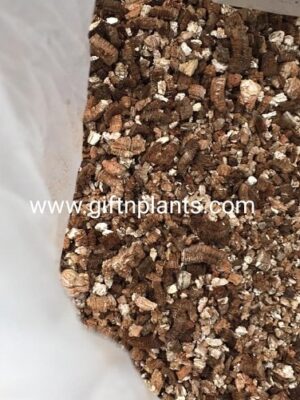 Vermiculite (450 GMS) for Garden Plants, Horticulture Use